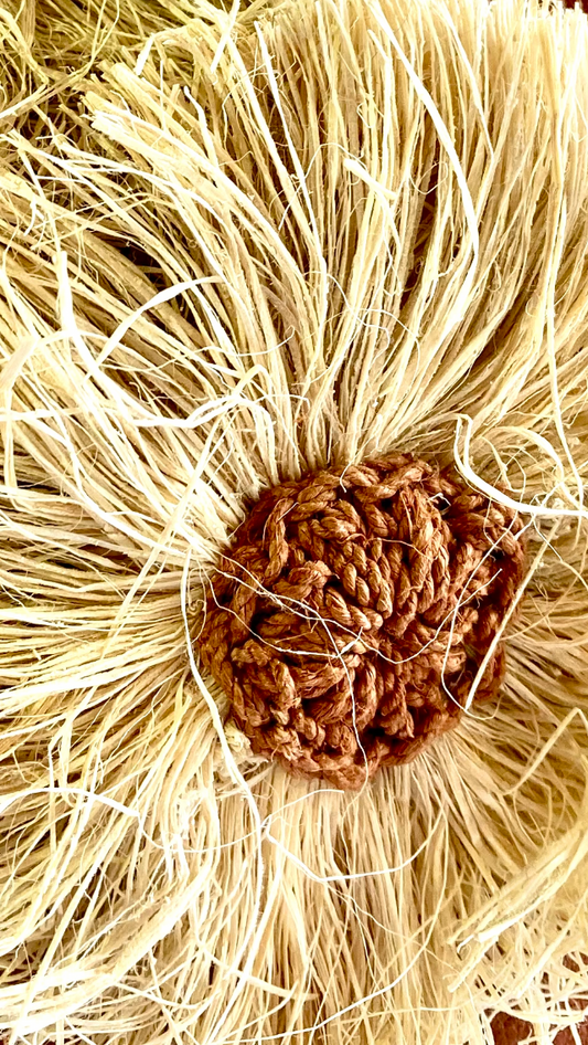 El Chaguar: la fibra ancestral que tejemos en Jasinta.