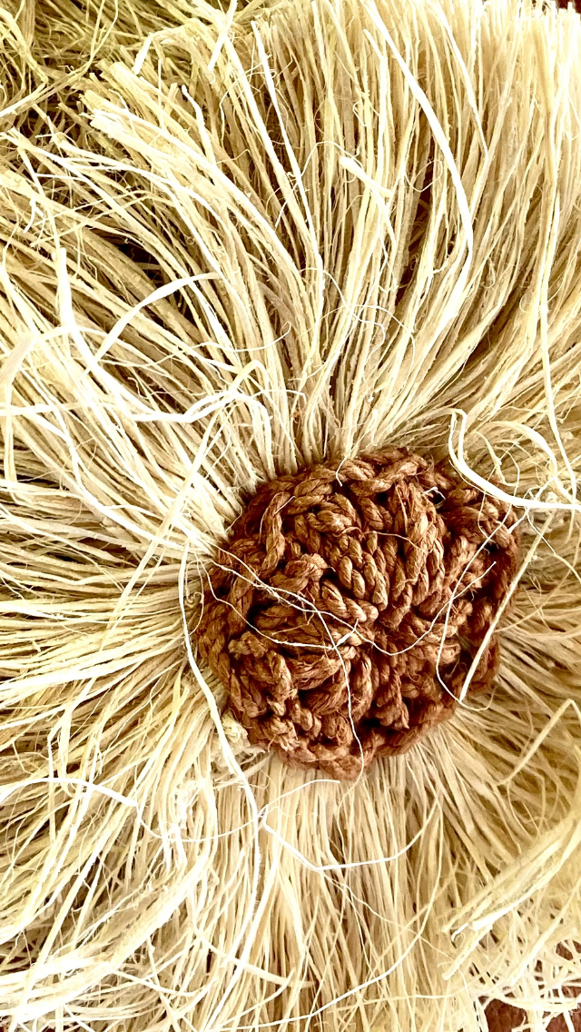 El Chaguar: la fibra ancestral que tejemos en Jasinta.